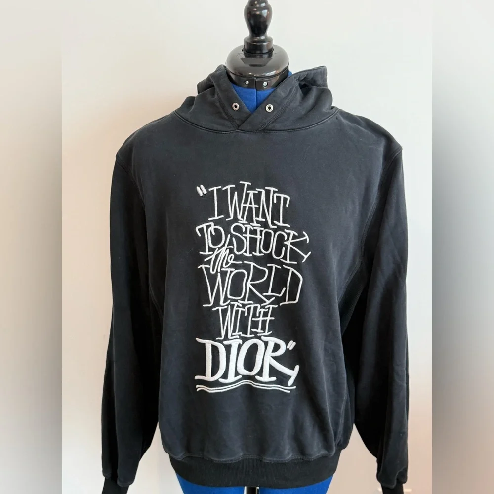 Dior Shawn Stussi 2020 Shock the World Hoodie - Picture 1 of 8